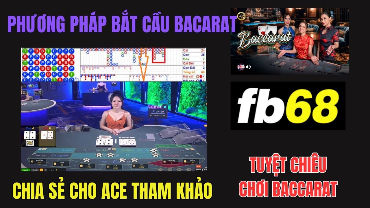 Khám phá trải nghiệm xem đá gà campuchia 2019 cùng we88